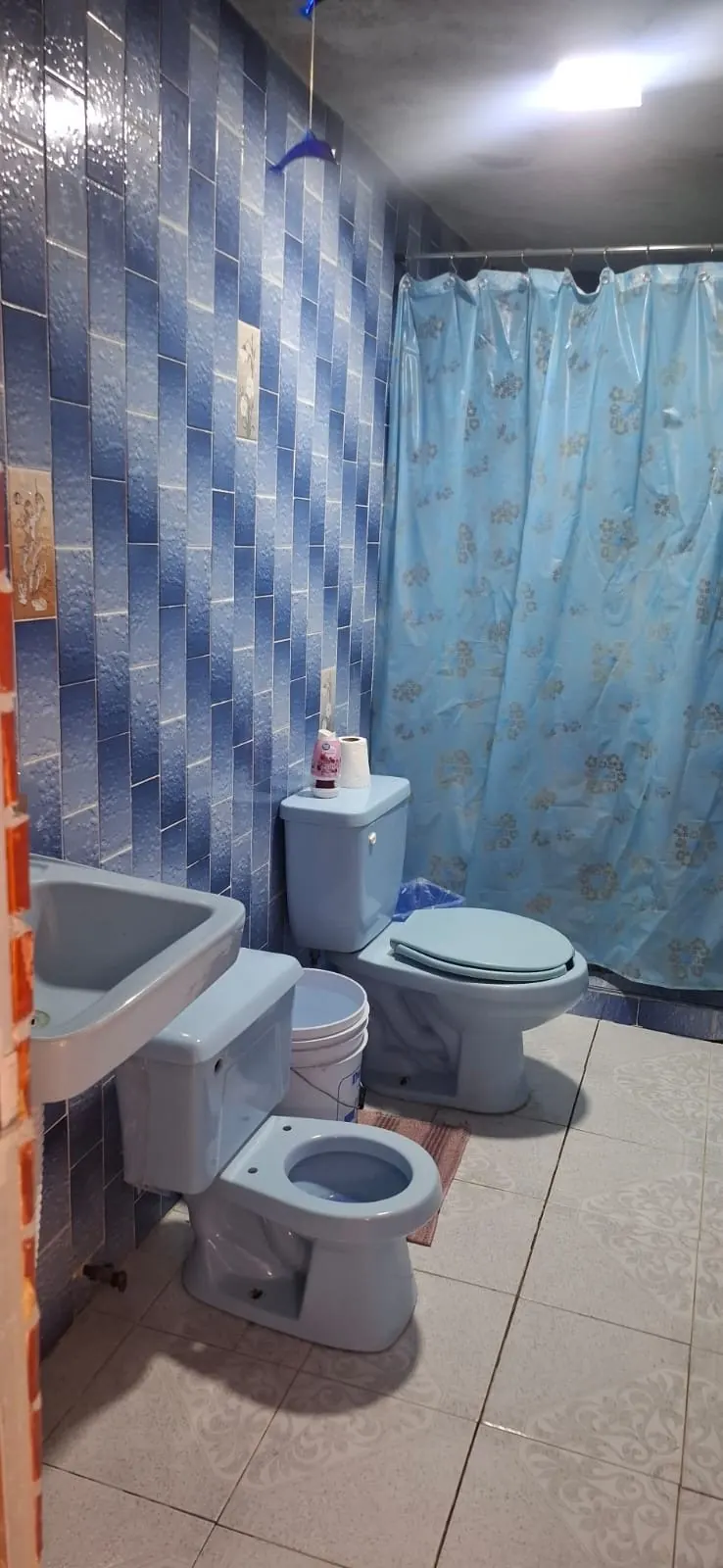 Sanitarios